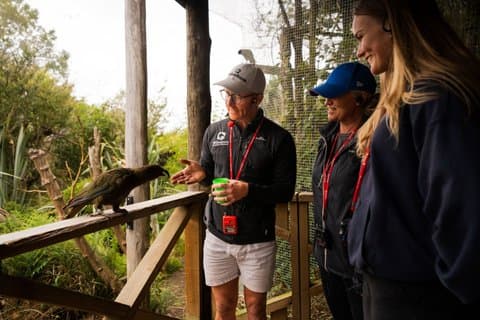 Hoteller i nærheden af Guided Native Tour Willowbank Reserve