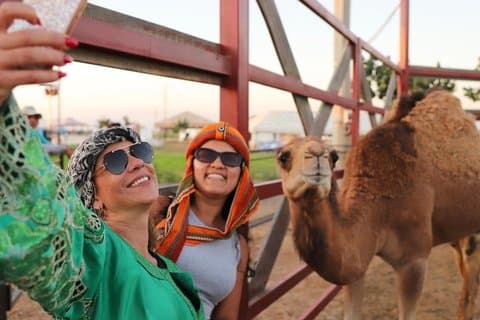 Fra Lima: Dromedarer + Huacachina + Dune Buggies og Sandboarding
