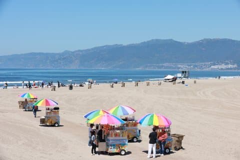 Grand LA Tour 7 Hour Open Bus Adventure from Santa Monica