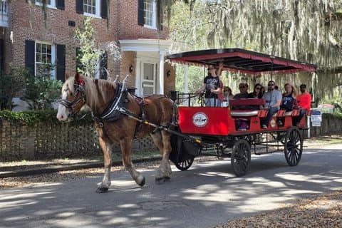 Beaufort Horse Drawn History Tour