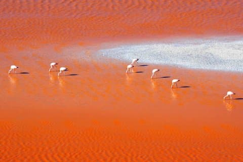 Salar de Uyuni og Altiplano Lagoons tur 3 dage 2 nætter