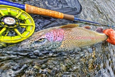 Private Kenai River Fly Fishing Activity