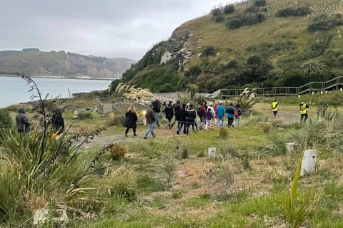 Behind The Scenes + Blue Penguins Pukekura Experience Tour