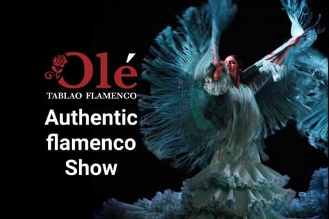 Olé Tablao Flamenco Show Puerto de Alcudia