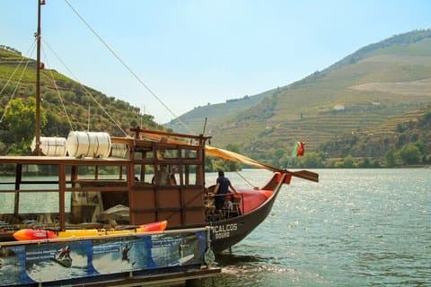 Duero Valley Tour: Winery, Wine Tasting and Boat Trip