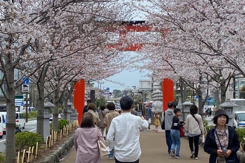 Essence of Kamakura From the samurai temples to the sea