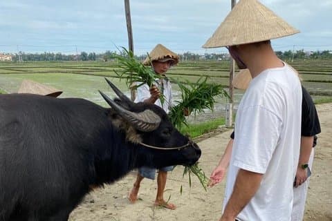 Buffalo Ride mit lokalen Farmern Hoi An erkunden