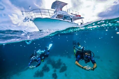 Private PADI 1 Day Scuba Certification in Cabo San Lucas