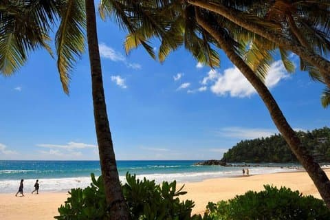 Privat transfer fra Colombo Internationale Lufthavn til Mirissa