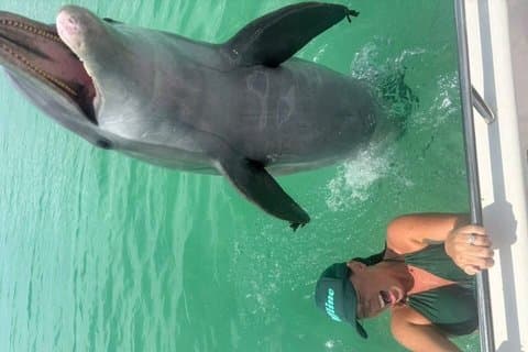3 Hour Private Shell Island Dolphin and Snorkeling Tour