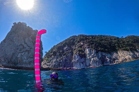 Private Boat Diving in Jeju Discover and Fundiving
