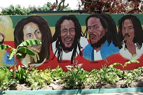 Excursión al Museo Bob Marley desde Negril Hotel