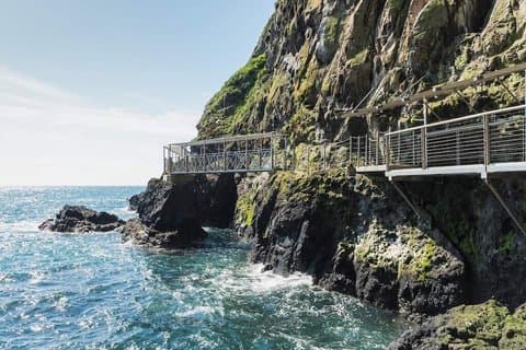 Gobbins halvdagstur i en luksus minivan fra Belfast