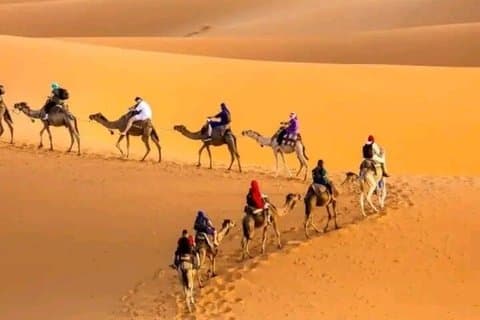 Lyxigt ökenläger i Merzouga Sahara med kamelritt
