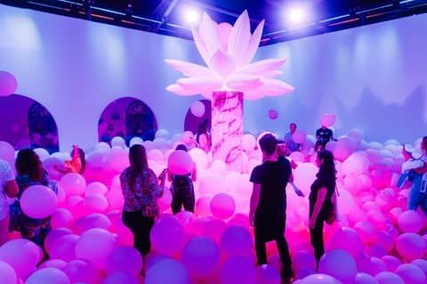 Bubble Planet, une expérience immersive à Washington DC