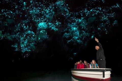 Waitomo Glowworm, Blue Springs og Hobbiton Day turné