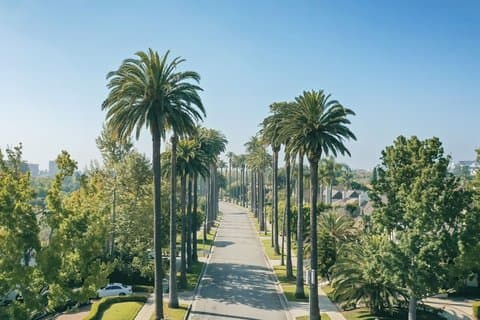 Tour en autobús abierto por Hollywood Celebrity Homes de 2 horas