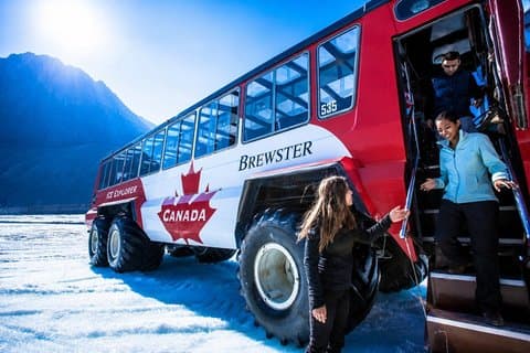 Full Day: Columbia Icefield, Skywalk, Peyto Lake Tour
