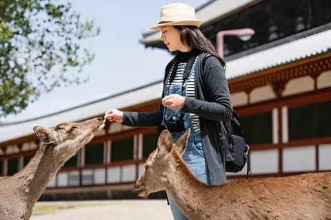 奈良での1時間のプライベート写真撮影