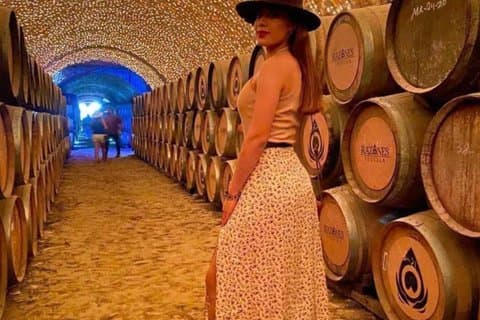 Tequila Pueblo Mágico Tour desde Guadalajara