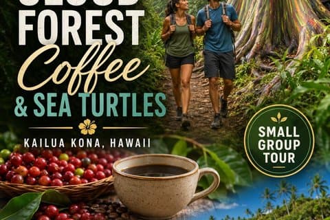 Kona Shore Excursion: Kona Cloud Forest , Coffee & Sea Turtles