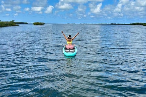 Vejledt SunWest Mangrove og Gulf Paddleboard Adventure