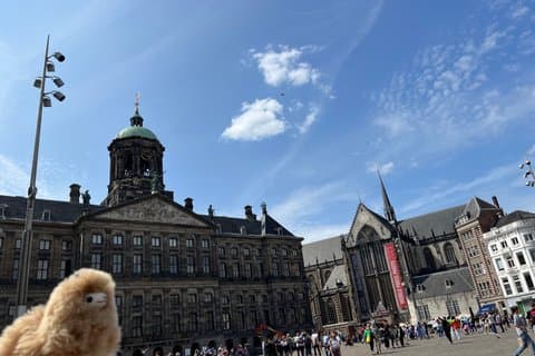 Amsterdam and Windmills Day Trip from Brussels