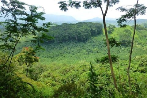 Kuilau Ridge Wandeling en Natuur Scavenger Hunt