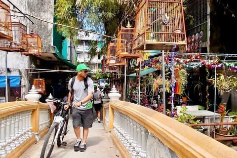 Bangkok cykeltur: Chinatown, blomstermarknaden och sköldpaddsmatning